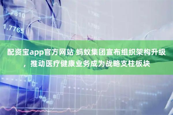 配资宝app官方网站 蚂蚁集团宣布组织架构升级,推动医疗健康业务成为战略支柱板块