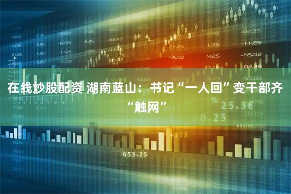 在线炒股配资 湖南蓝山：书记“一人回”变干部齐“触网”